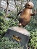 4月もありがとうございました！