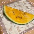 見つけた