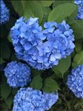 19日(金)出勤予定です