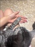 シフト！