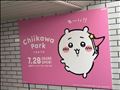 本日お休み