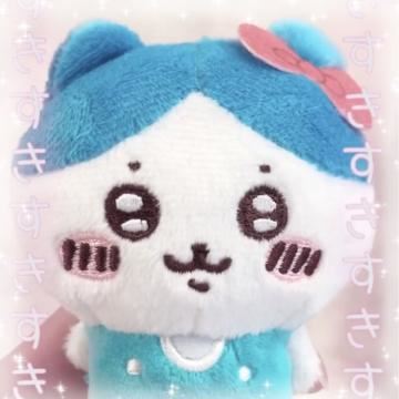 念願の?