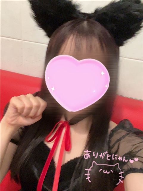 にゃんこはる