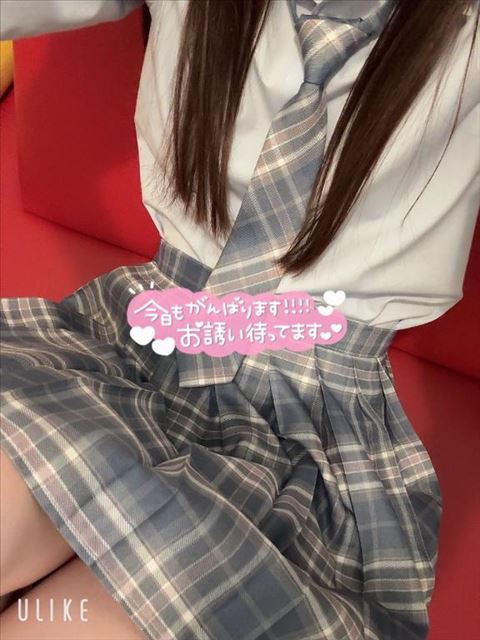 今日もいるよん