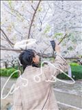 神の御加護