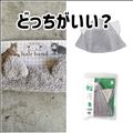 どっちがいい？？