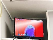 のん・すんすん