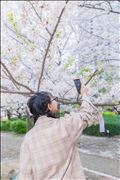 だいぶ咲いたね！