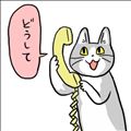 どうして？