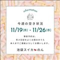 11/19～ 予定