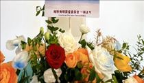 のん・上海編その2