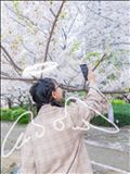 その日の天使