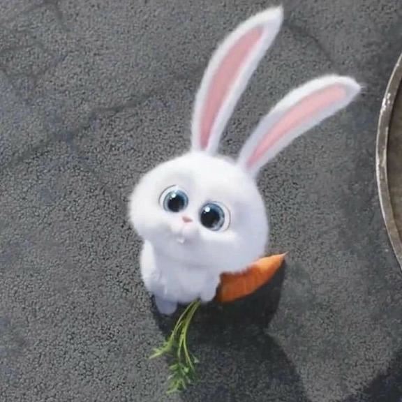 たいきーん！