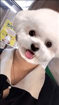 わぁ