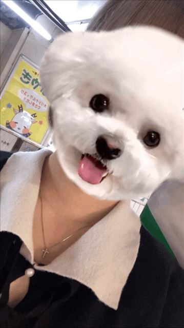 わぁ