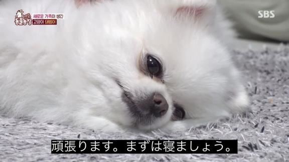 出勤そうそうやったこと?