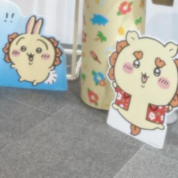 ちいさくて可愛いやつ?