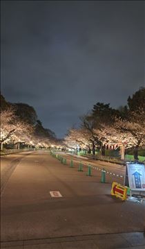 りょう・4月になりました！