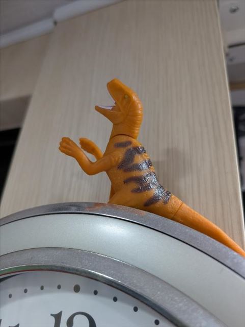 明日から沢山いるよ！
