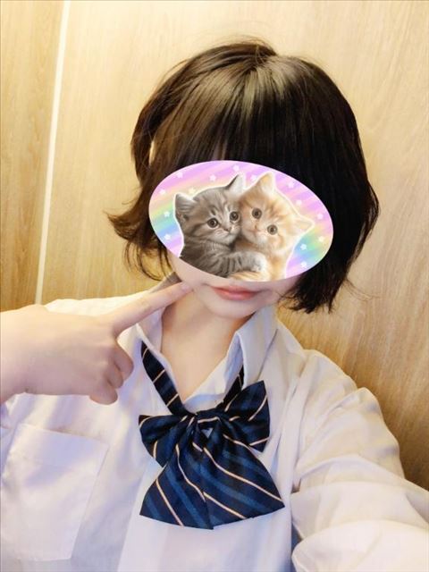 会いに来てね