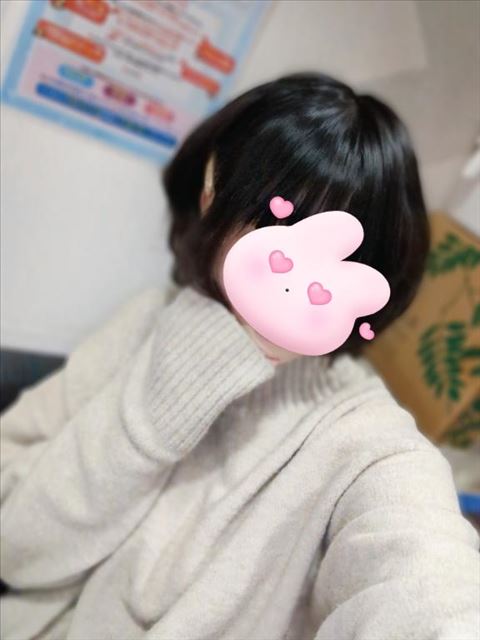 今日の予定