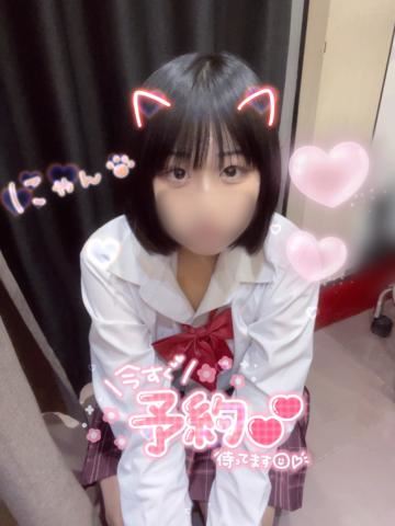 11月のお得情報～！