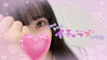 やほー?