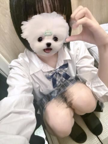 ちわ