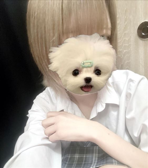 おわり?