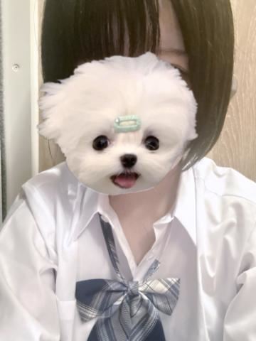 ふっかちゅ