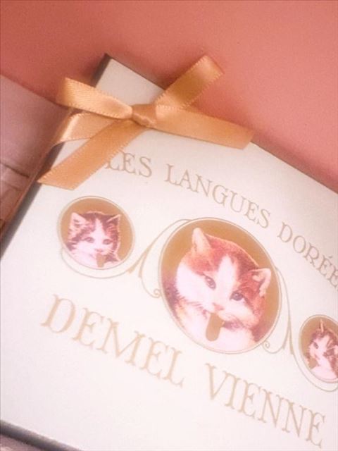 差し入れありがとうー！