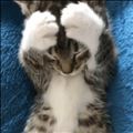 申し訳ございません?