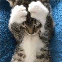 申し訳ございません?