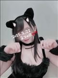 ネコの日