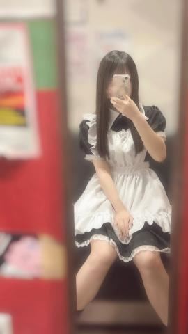 きたよー