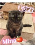 かわいかった～?
