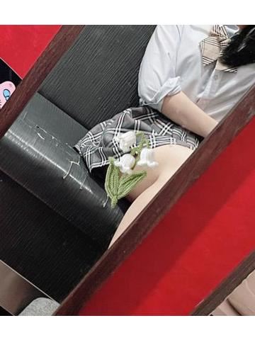 今週の予定