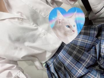 出勤しました
