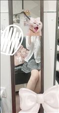 います