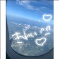 飛行機のりたい??