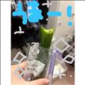 きゅうりうまー！