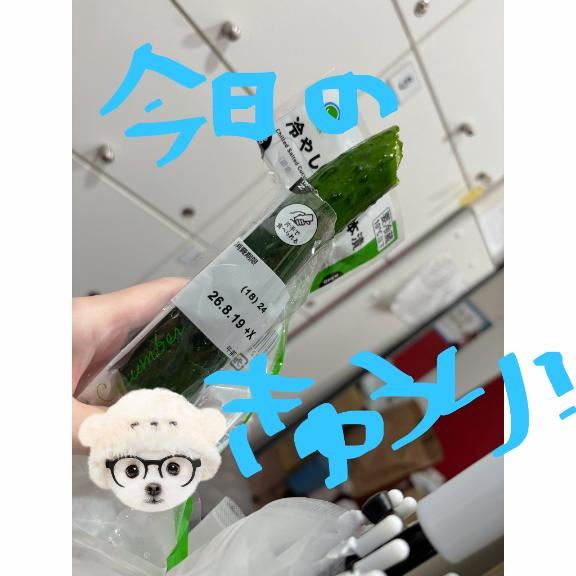 ぎゃるそねになります???