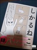 しかるねこ