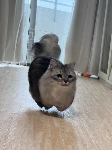わ～??