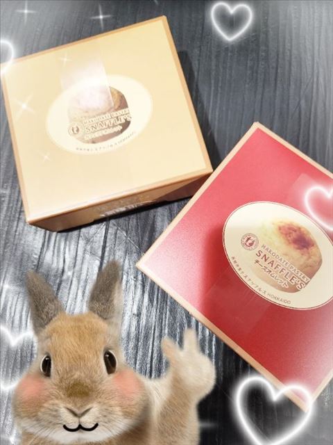 差し入れありがとう??