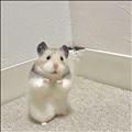 ルールを守って楽しく遊ぼう??