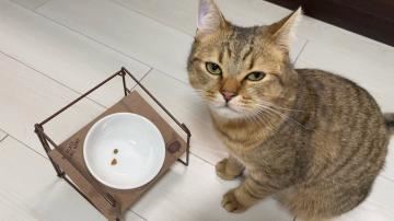 ちょっと短くなった！！