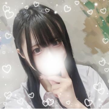 猫も犬もお家いないのにペット用ソファ買いそうになった