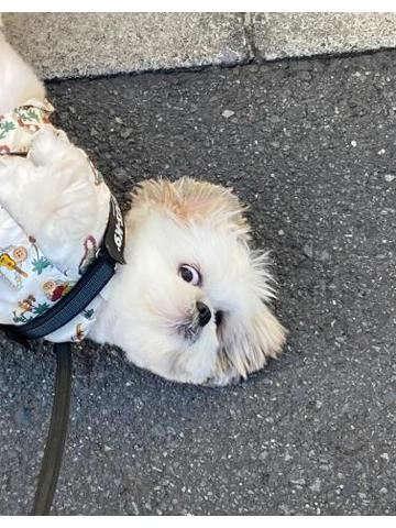 ?