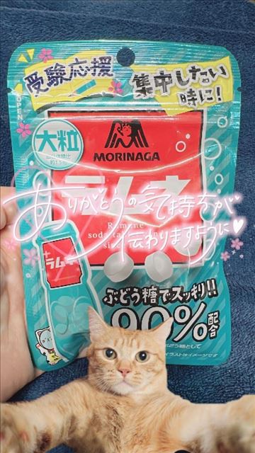 2月いっぱいありがとう?